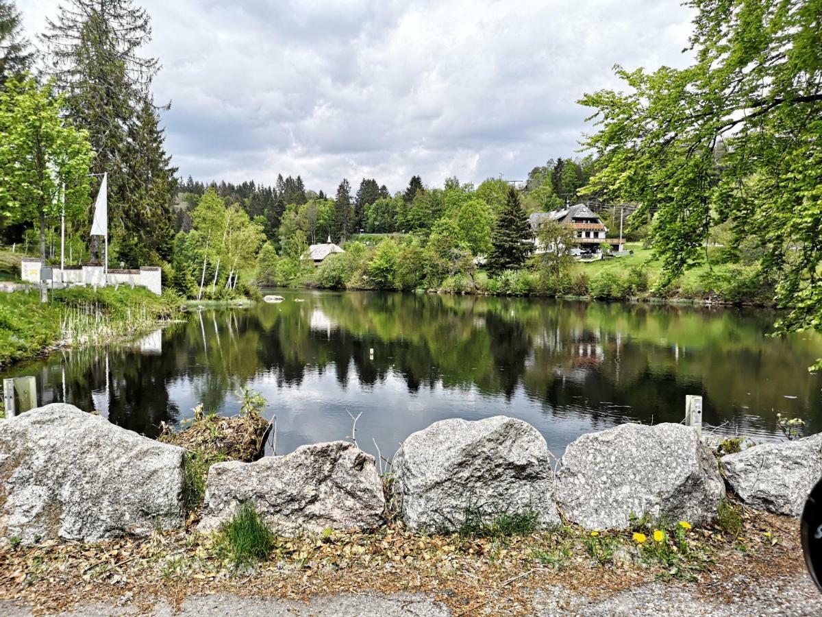 C3 Albmatte-Fewo Sauna, Hallenbad Aussenbecken Massagen Nebenan St. Blasien Exterior photo